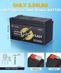 Go-To High Capacity LiFePO4 Battery 24 Or 25.6V 5Ah For UPS Solar Panels Boats RVs Kayak Fish Finder Scooter And More, lightweight