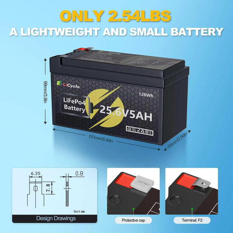Go-To High Capacity LiFePO4 Battery 24 Or 25.6V 5Ah For UPS Solar Panels Boats RVs Kayak Fish Finder Scooter And More, lightweight