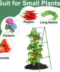 Heavy Duty 47 By 16 Inch A Frame Garden Trellis For Climbing Cucumbers Beans Peas And Other Vines With Netting for Small Plants