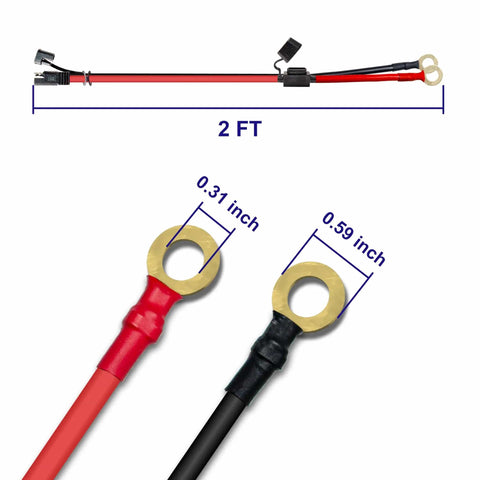 Red and black Beefy Two Pack 10 AWG 2 Foot SAE To O Ring Terminal Quick Disconnect Charger Cable shown with dimensions.