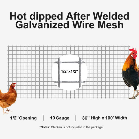 Galvanized Wire Mesh Fence Roll 36 In By 100 Ft Half Inch Square Mesh 19 Gauge Heavy Duty Welded Cage Fencing with chickens