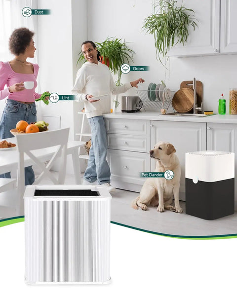 Kitchen scene with couple and dog using Replacement Filter For Blue Pure 211+ Air Purifier Non Auto for fresh air.