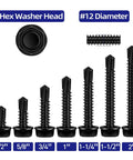 Heavy Duty Number Twelve By Three Quarter Hex Washer Head Self Tapping Screws Black Finished Stainless Steel Tek Self Drilling Sheet Metal Fasteners in various sizes