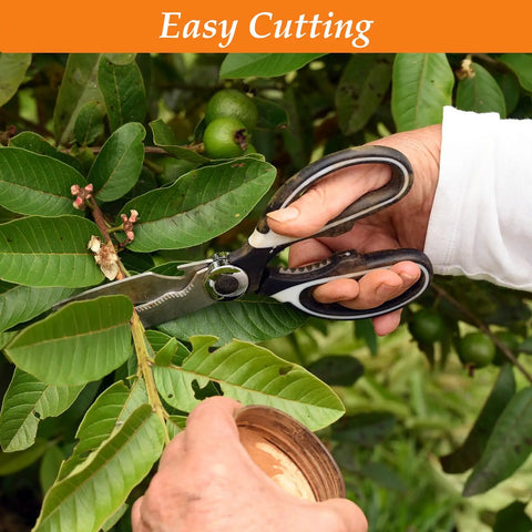 Using 2 Piece Garden Shears And Flower Scissors Set With 2.5mm Thick Stainless Steel Blades to trim plant branch.