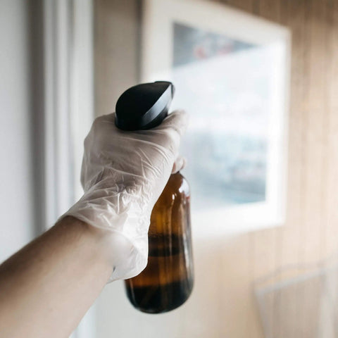 Top Shelf Clear Vinyl Disposable Gloves Straight Up Reliable 3 Mil Thickness Light Industrial Grunt Work Friendly Food Safe Latex Free Powder Free Large Size Box Of 100 For Daily Shop Tasks using spray bottle.