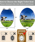 Elongated Toilet Seat with Quiet Close Quick Release, measuring 14.5" x 18.5", illustrated for size fitting.
