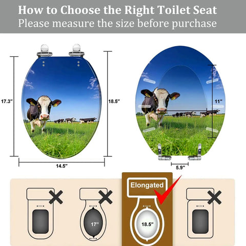 Elongated Toilet Seat with Quiet Close Quick Release, measuring 14.5" x 18.5", illustrated for size fitting.