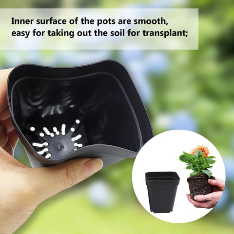 Hand holding Square Seed Starter Pots 3 Inch 120 Pack Black Plastic Nursery Pots With Drainage, showcasing smooth interior with plant.
