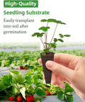 Hand holding seedling from Indoor Hydroponics Seed Pod Kit Bundle With 240 Pieces Including 120 Grow Sponges And 120 Pod Labels