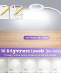 12X Magnifying Glass With Light And Stand showing no flicker, 10 brightness levels, 24 inch gooseneck, clamp, for craft use
