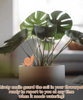 Six Pack Ceramic Water Sensor Set For Plants Moisture Monitor And Humidity Meter Cute Garden Decor For Potted Plants And Houseplants Easy Plant Care Tool Great Gift For Garden Lovers, ceramic snail in pot