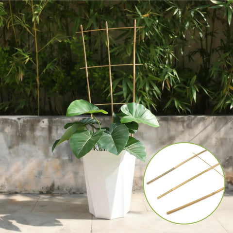 Five Pack 16 Inch Bamboo Trellis For Climbing Plants With Natural Garden Ladder Fan Style Support In A Potted Plant