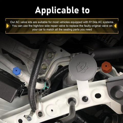 17 Piece Car AC Valve Core Kit Pro Grade With R12 To R134a Conversion, close-up of service port with multicolor caps