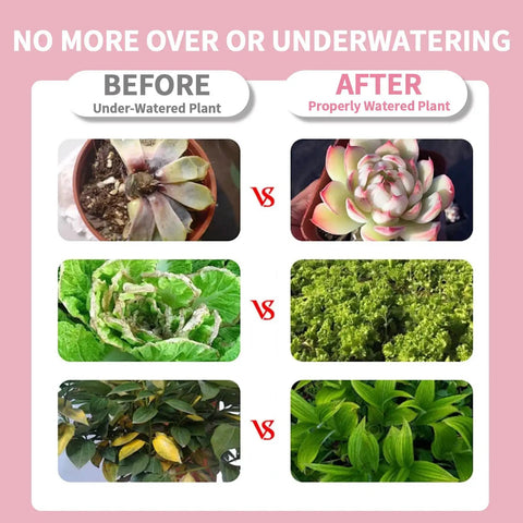 Comparison of before and after using Soil Moisture Meter For Indoor Plants And Lawn No More Guesswork Easy Water Gauge