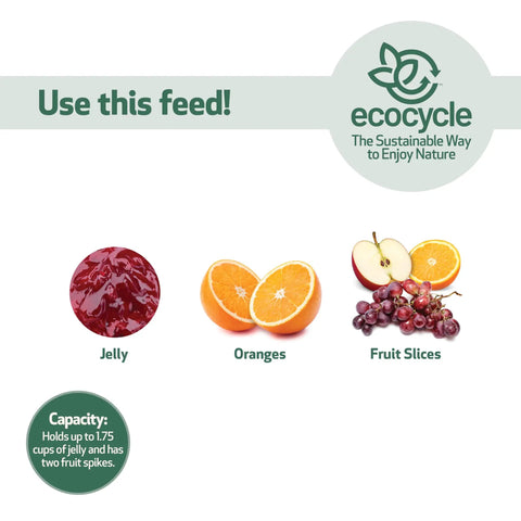Jelly, oranges, and fruit slices for Durable Recycled Plastic Citrus Sampler Oriole Bird Feeder With Dual Sided Feeding 2 Removable Glass Dishes And Fruit Spikes Zero Point Four Quart Capacity Orange Backyard Decor For Wild Birds