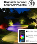 Colorful path lit by Zero Cost Solar Landscape Lights Outdoor Waterproof Auto On Off Dusk To Dawn Solar Powered Lighting.
