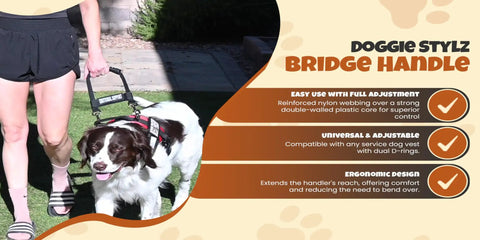 Heavy Duty Service Dog Bridge Handle Harness Attachment With Double Metal Quick Snap Clips For Working Canine Teams Needing A Legit Solid Grip And Total Zero Drama During Daily Training Runs
