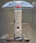Outdoor Metal Bird Feeder That Hangs Easy On Deck With Oversized 11.5 Inch Protective Dome And 8 Inch Removable Tray Holds 3 Lbs Seed