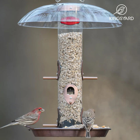 Outdoor Metal Bird Feeder That Hangs Easy On Deck With Oversized 11.5 Inch Protective Dome And 8 Inch Removable Tray Holds 3 Lbs Seed