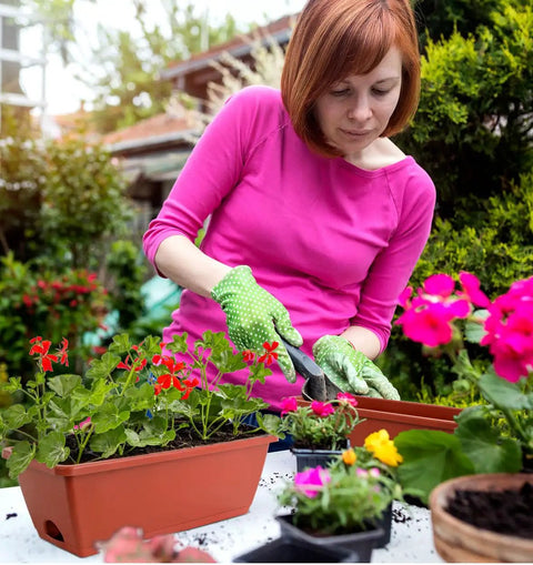 Woman gardening with durable 17 inch window box planter for indoor outdoor gardens plastic rectangular flower pots with saucers.