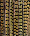 Ringneck Pheasant Tail Feathers 20 to 24 Inches Pack of 25 Natural Hand Selected and Steamed for Fly Tying Fishing Flies