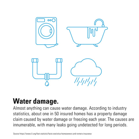 Illustration of water damage causes including washing machine, bathtub, leaking pipe, and rain cloud with explanatory text.