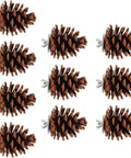 10 Pack Real Pine Cone Bird Chew Toys With Sturdy Mounting Nuts, ideal for parakeets and cockatiels in rustic style.