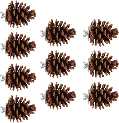 10 Pack Real Pine Cone Bird Chew Toys With Sturdy Mounting Nuts, ideal for parakeets and cockatiels in rustic style.