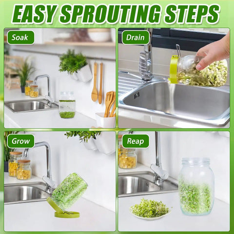 Sprouting Jar Kit For Homegrown Sprouts With Mason Jar Sprouter, Stainless Lids, Blackout Sleeves And Drain Tray, Easy Drainage For Bean, Broccoli, Alfalfa Sprouts shown in sprouting steps: soak, drain, grow, reap.