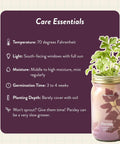 Dope Mason Garden Jar Self Watering Hydroponics Kit With Organic Herb Seeds showing care essentials beside parsley in jar.