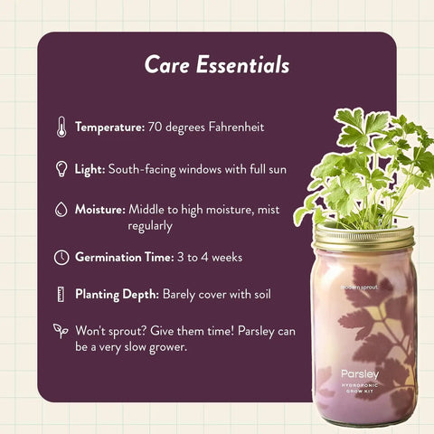 Dope Mason Garden Jar Self Watering Hydroponics Kit With Organic Herb Seeds showing care essentials beside parsley in jar.