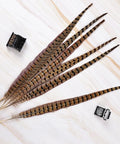 12 Pcs Natural Ringneck Pheasant Tail Feathers 14 To 16 Inch For Crafts Weddings Parties Performances And Home DIY Decor