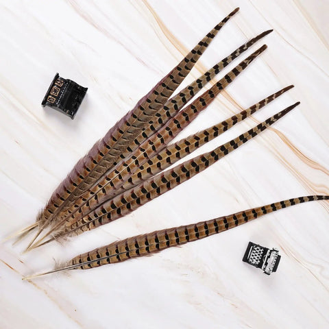 12 Pcs Natural Ringneck Pheasant Tail Feathers 14 To 16 Inch For Crafts Weddings Parties Performances And Home DIY Decor