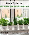 Five Herb Seed Variety Kit With Oregano Cilantro Parsley Basil And Chives More Seeds Per Pack To Kickstart Your Home Garden Easy To Grow Great For Beginners And Budding Chefs displayed on a windowsill