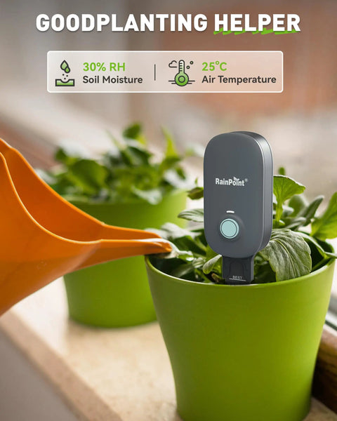 Bluetooth 2-In-1 Soil Moisture And Air Temperature Meter With App Remote Monitoring in plant pot with watering can