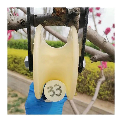 No Sweat U Groove Sliding Gate Caster Wheel With Thick Nylon Roller and Heavy Duty Double Bearing Steel Guide Track For Smooth Garage Door Pull On Any DIY Home Job mounted on a branch.