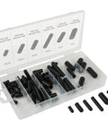 80 Piece Silicone Vacuum Cap Set For Hoses And Lines, High Temp Silicone Caps in assorted sizes displayed in a clear case