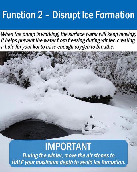 Snow-covered pond using All In One Koi Pond Aerator Kit For Outdoor Ponds Up To 1000 Gallons With Double Outlet Tubing Air Stones Check Valves And Replacement Filter Pads.