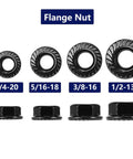 Top Shelf 1/4-20 Serrated Flange Hex Lock Nuts 100 Pack 304 Stainless Steel shown in various sizes for versatile use.