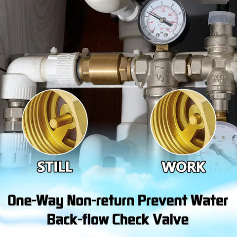 Front view of two brass 3/4 NPT inline spring check valves with white PVC adapters on piping