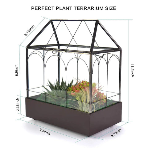 Tall Glass Plant Terrarium With Lip And Tray On Wheels For Home Succulents And Houseplants Glass Greenhouse Waterproof Brass Tray With Dope Wheels 9.5 By 5.7 By 11.4 Inches