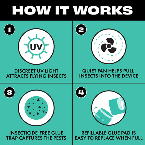 Diagram explaining how Indoor Bug Trap With Fan And UV Light That Attracts Mosquitoes Fruit Flies And House Flies works, four steps shown.