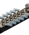 12 Terminal Ground Distribution Block Kit With One Quarter Inch Stud Nickel Plated Bus Bar And Twelve Stainless Steel Terminal Screws