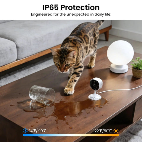 Cat near 2K Indoor Outdoor Security Cameras Bundle for Home Surveillance, showing IP65 water resistance on wooden coffee table.