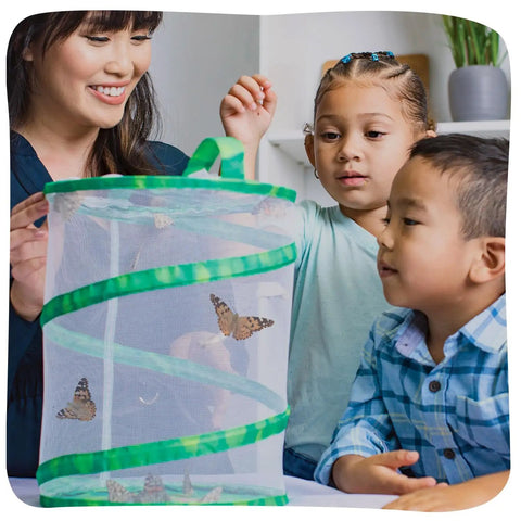 Children observing butterflies in a mesh habitat from the Butterfly Garden Kit With Live Caterpillars, Habitat, Feeder And Chrysalis Holder For Raise And Release Painted Lady Butterflies, STEM Activity Journal Included For Kids And Families, A Fun Kid Friendly Science Project For Classrooms.