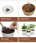 Step-by-step guide for Three Bonsai Kits In One Box Beginners Indoor Growing Starter Set With Tools Planter Soil And Clear Guide