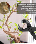 Bonsai Branch Tool Kit With Concave And Spherical Knob Cutters Ambidextrous Stainless Steel Blades Black Modern Style 210mm Length And 50mm Width Pro Grade Pruning Set With Storage Bag pruning a bonsai branch