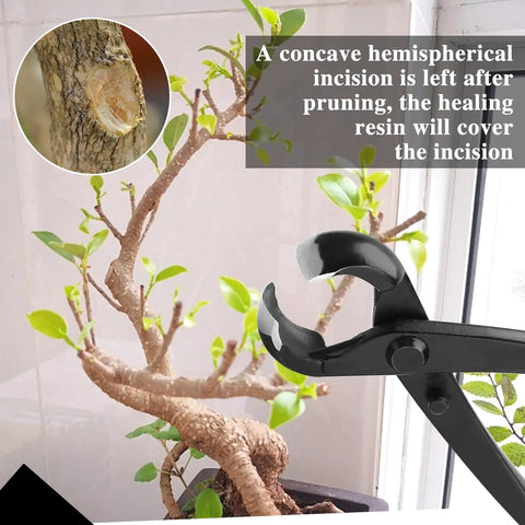 Bonsai Branch Tool Kit With Concave And Spherical Knob Cutters Ambidextrous Stainless Steel Blades Black Modern Style 210mm Length And 50mm Width Pro Grade Pruning Set With Storage Bag pruning a bonsai branch