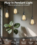 Plug In Pendant Light Kit With 1 To 4 E26 E27 Sockets Industrial Hanging Light With Individual Rotary Switches in living room.