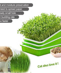Cat near Soil-Free Seed Sprouter Tray With Lid BPA Free PP Material Big Capacity Sprouting Kit For Wheatgrass And Seeds No Soil Needed